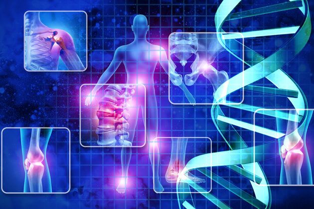 Ortopedik Hastalıklar - Beylikdüzü Fizyoterapi